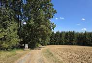 Waldgrundstücke in Deutsch Kaltenbrunn