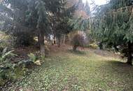 Traumhaftes Baugrundstück in Reauz – 2121m² für Ihr Eigenheim!