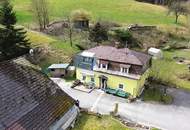 HandwerkerIn gesucht im kleinen Yspertal: liebenswertes Haus unweit von Nöchling