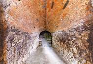 Weinviertler Charme: Presshaus mit großzügigem Weinkeller – Modernisierungschance!