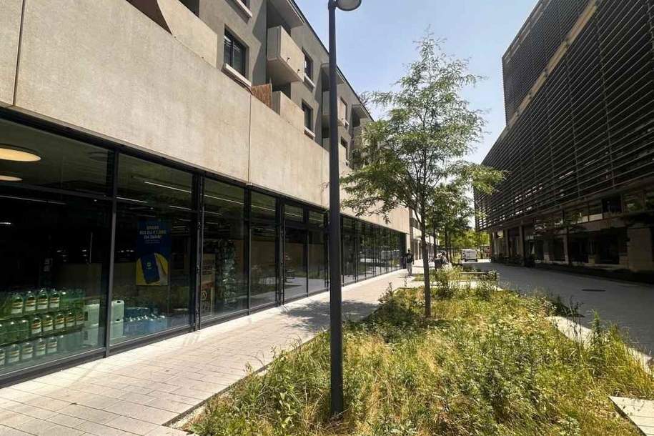 Geschäftsfläche im Zentrum von Klagenfurt - modern. hell. gestalten Sie mit! Top GE3, Gewerbeobjekt-miete, 1.284,36,€, 9020 Klagenfurt(Stadt)