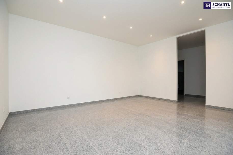 Kleine Wohlfühlwohnung oder Praxis mit separater Küche in idyllischer Grünlage, Wohnung-miete, 583,00,€, 8151 Graz-Umgebung