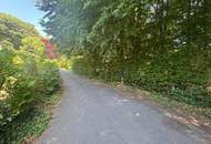 Exklusives Wohnhaus mit Wellnessbereich, Naturbadeteich &amp; hochwertiger Ausstattung in St. Johann in der Haide!!!