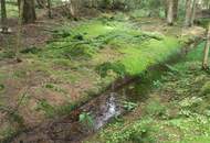 Charmantes Landhaus für Naturliebhaber in absoluter Ruhelage (Provisionsfrei)