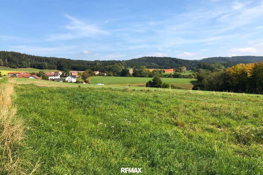 Wohnen mit Weitblick – Baugrund in ländlicher Lage, Grund und Boden-kauf, 135.000,€, 4925 Ried im Innkreis