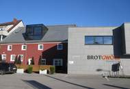 LOFT mit Galerie und vielen Nutzungsmöglichkeiten!