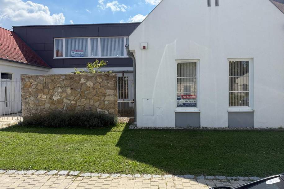 Büro, Praxis, Studio, Atelier repräsentativ, hell, im Zentrum, Gewerbeobjekt-miete, 1.789,54,€, 7111 Neusiedl am See