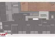 Luxus Pur | DG-Ausbaus beim Schlosspark Schönbrunn | Wienblick | privater Liftausstieg