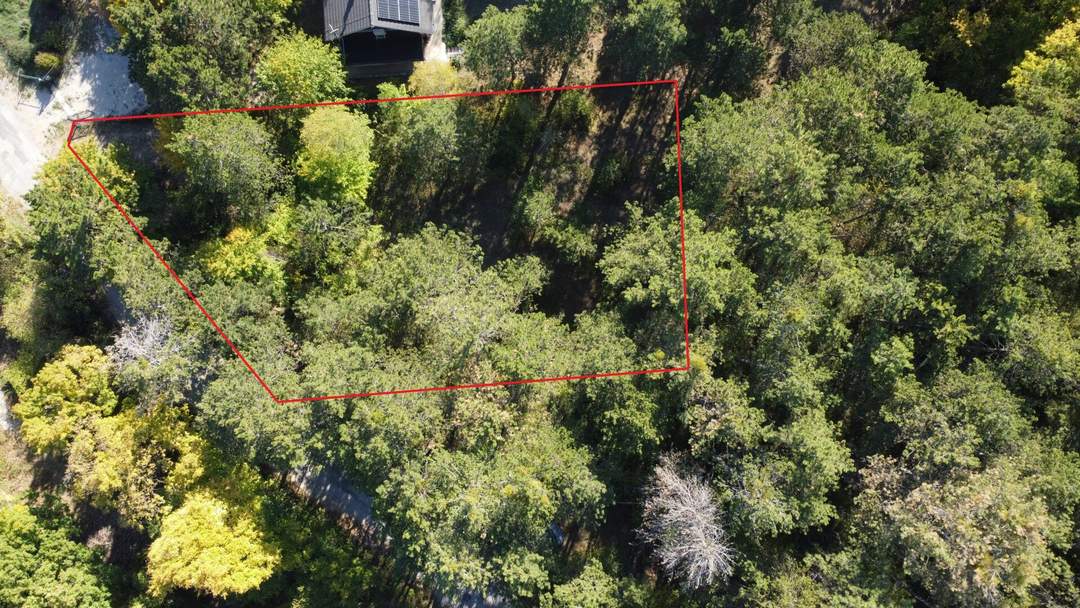 Wohnen wo die Natur beginnt - Waldrandgrundstück mit Option auf Waldpacht