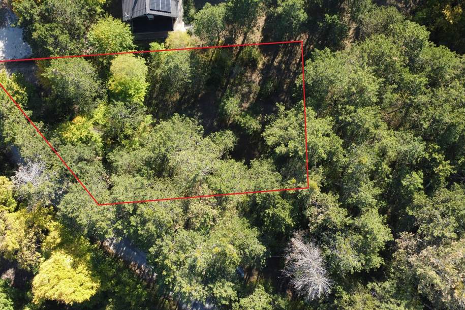 Wohnen wo die Natur beginnt - Waldrandgrundstück mit Option auf Waldpacht, Grund und Boden-kauf, 319.000,€, 2721 Wiener Neustadt(Land)