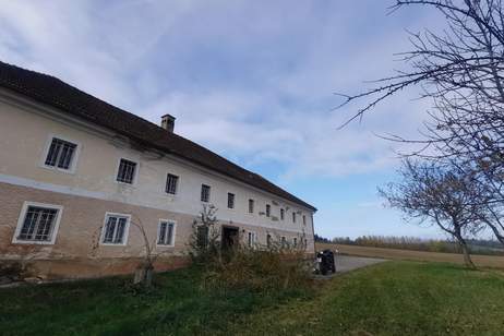 Vierkanthof in Alleinlage mit ca. 5 ha landwirtschaftliche Nutzfläche, Gewerbeobjekt-kauf, 325.000,€, 3351 Amstetten