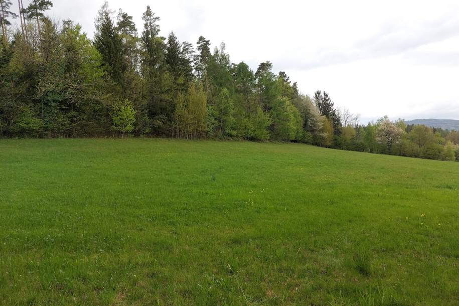 Wald und Wiese mit Hütte, Grund und Boden-kauf, 120.000,€, 8062 Graz-Umgebung