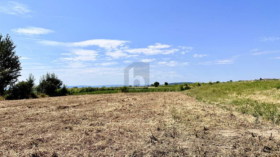 TOP FÜR ANLEGER - SONNIG IN BESTER SIEDLUNGSRUHELAGE