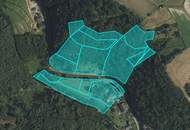 Refugium in Waldrandlage – Wohnen und Vermieten in der Wachau in Goßam