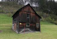 Haus mit Stall, Wiese und Wald in Etmißl