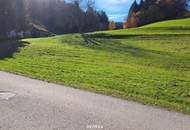 Baugrund ohne Bauzwang mit Teilungsoption