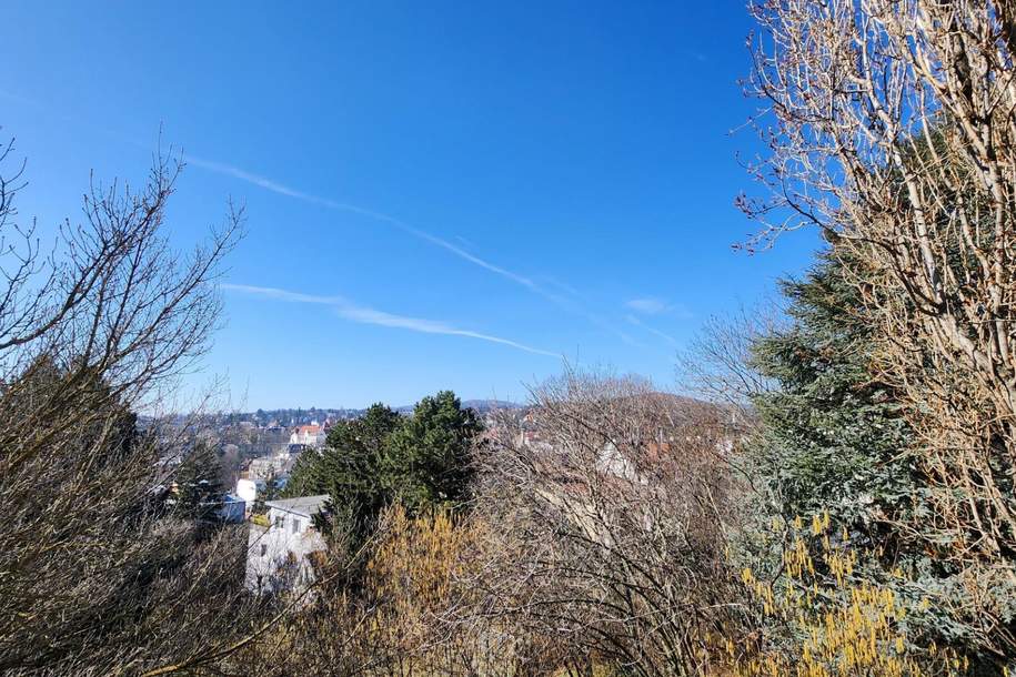 BOKU NÄHE! KOMPLETTE RUHELAGE! PERFEKT FÜR FAMILIEN ODER ALS WG!, Wohnung-kauf, 590.000,€, 1180 Wien 18., Währing