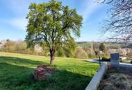 Ein Platz zum Ankommen: Renoviertes Bauernhaus mit Nebengebäude in traumhafter Güssinger Randlage