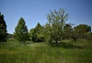 Viel Natur und kein Bauzwang