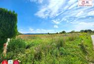 Großzügiges Grundstück in Grünlage am Stadtrand für IHR neues Bauprojekt