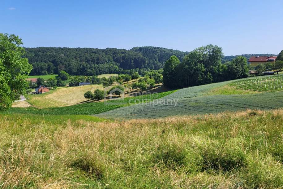 Grundstück in Kirchberg an der Raab – ruhige Lage und schöne Aussicht, Grund und Boden-kauf, 79.000,€, 8324 Südoststeiermark