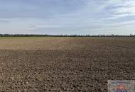 Schöner ebener Acker mit Brunnen!