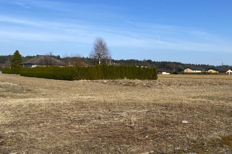 Ebenes Baugrundstück in Zwaring, sonnig und ruhig gelegen!, Grund und Boden-kauf, 129.000,€, 8143 Graz-Umgebung