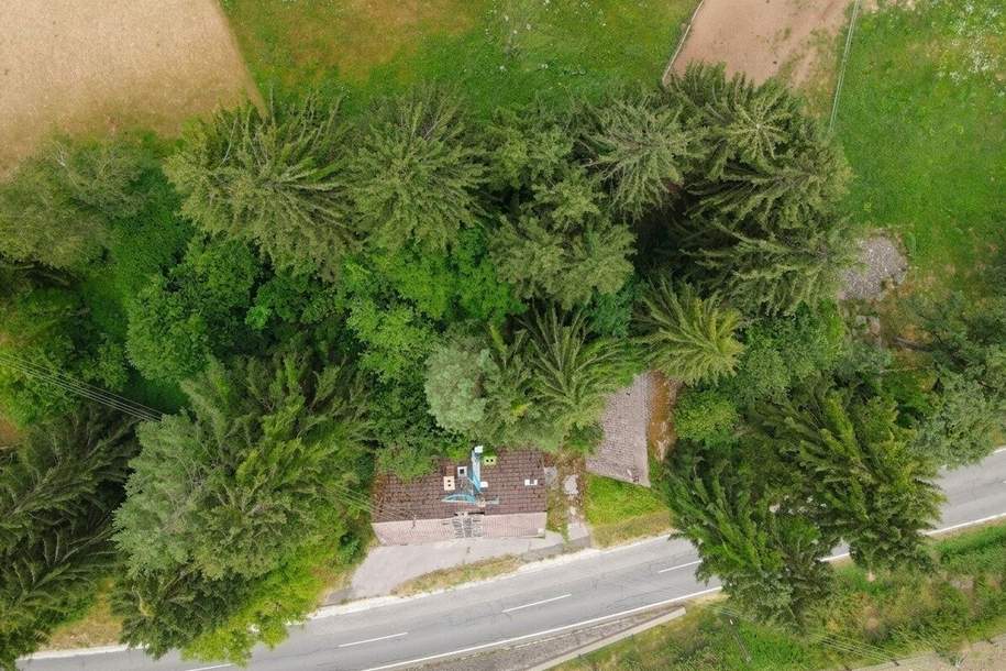 1.700 m² Baugrundstück mit Altbestand – vielseitiges Entwicklungspotenzial in Sittersdorf, Grund und Boden-kauf, 68.000,€, 9133 Völkermarkt