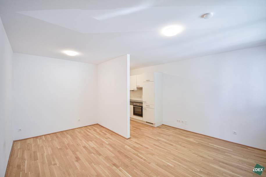 1-Zimmer-Neubau mit großer Terrasse im 20. Bezirk, Wohnung-miete, 849,00,€, 1200 Wien 20., Brigittenau