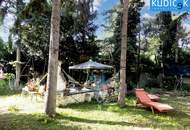 Ruhelage Nähe Donauspital