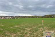 Top Investion: eventuell mÃ¶gliches Bauhoffnungsland nahe dem Stadtzentrum von Hollabrunn!