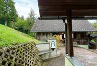 Feistritz im Rosental - idyllisches Häuschen für Singles oder Paare mit Nebengebäuden