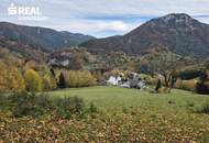 Mischwald zu verkaufen