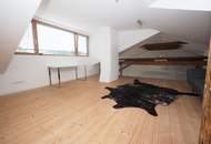Zeitlos trifft Zeitgemäß - Rooftop Penthouse traumhaftes Penthouse mit Dachgarten, Lift, Gewölbekeller uvm.
