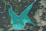 Ca. 16 ha Vielseitige Land- und Forstwirtschaftsflächen im Sackgraben – Gnadenberg