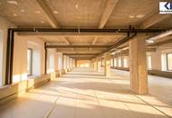LOFT-BÜRO im "FABIANI-HAUS"