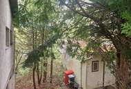 TOLLE WOHNLAGE MIT HOHER LEBENSQUALITÄT IN EICHGRABEN OHNE BAUZWANG - LEISTBARES BAUGRUNDSTÜCK MIT ALTBESTAND IN HERVORRAGENDER, RUHIGER HANGLAGE