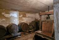 Viel Platz, viele Möglichkeiten – Haus mit Nebengebäuden in Penzendorf bei Hartberg Steiermark.