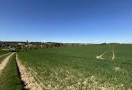 Attraktive Landwirtschaftsfläche in Eggendorf im Traunkreis