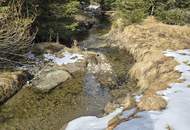 FERN VON DER HEKTIK AUF DER FLATTNITZ