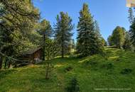 ZWEITWOHNSITZTAUGLICH! Grundstück in idyllischer Lage auf der Turracher Höhe