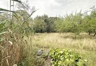 Idyllisches Wohnen mit Gartenparadies und zusätzlichem Grundstück in Bestlage Bad Fischau Brunn.