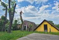 Ihr gemütliches Feriendomizil mitten im Weinviertel!