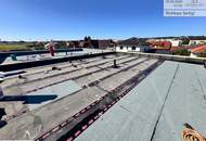 Doppelhaushälfte (Danube Live TOP 2) mit Garten, Terrasse und vielem mehr - in familienfreundlicher Lage in 4320 Perg. ROHBAU ABGESCHLOSSEN - jetzt anfragen!