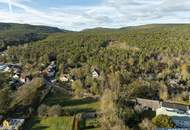 Einzigartige Jahrhundertwende-Villa mit Privatpark und Wald | Blick in alle Himmelsrichtungen | Lichtdurchflutet