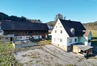 HISTORISCHER HOF IN DER GRÜNEN STEIERMARK: Ein Platz für große Pläne – von Landwirtschaft bis Pferdeparadies!
