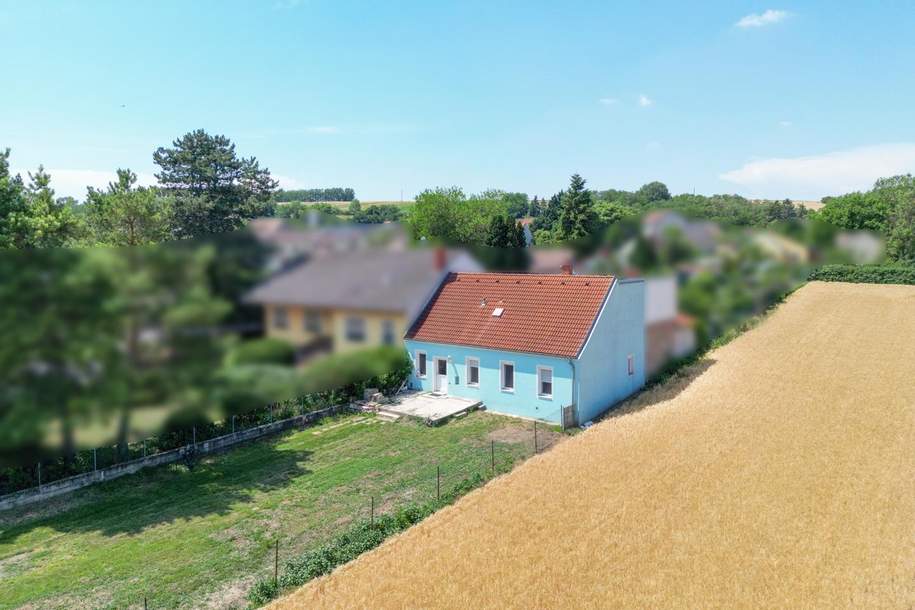 Einfamilienhaus mit Entwicklungspotenzial, Haus-kauf, 105.000,€, 2265 Gänserndorf