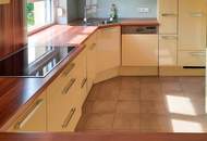 TOP Angebot! Bezugsfertiges Einfamilienhaus in Ruhelage am Rande des Tullnerfeldes