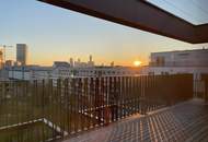 Attemsgasse - nahe Kirschblütenpark: Schicke 4-Zimmer mit Terrasse und optionaler Garagenstellplatz im Haus!