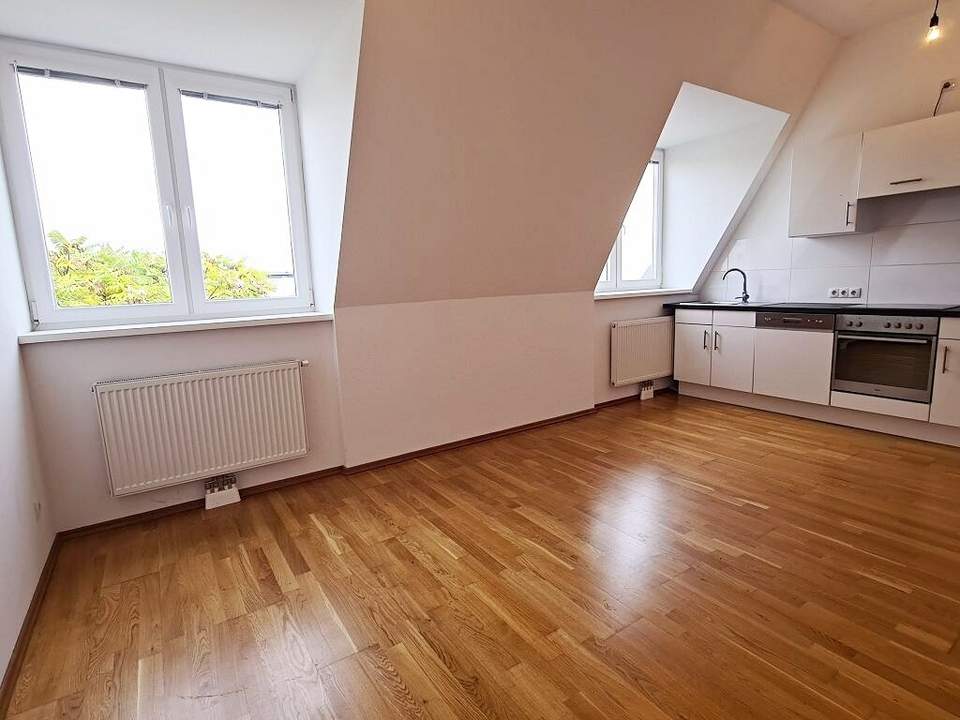 TÜRKENSCHANZPARK, Gregor-Mendel-Straße, 43 m2 Dachgeschoß, 2 Zimmer, Komplettküche, Duschbad, Parketten, Ruhelage